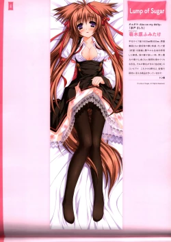 Page 104 of Dakimakura Cover Gashuu Bishoujo Game Hen