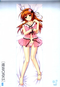 Page 11 of Dakimakura Cover Gashuu Bishoujo Game Hen