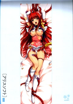 Page 17 of Dakimakura Cover Gashuu Bishoujo Game Hen
