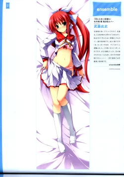 Page 20 of Dakimakura Cover Gashuu Bishoujo Game Hen