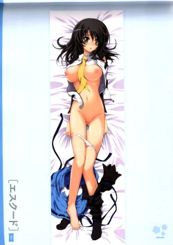 Page 27 of Dakimakura Cover Gashuu Bishoujo Game Hen