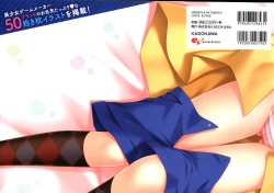 Page 2 of Dakimakura Cover Gashuu Bishoujo Game Hen