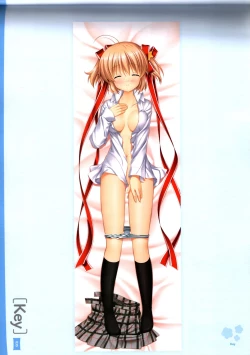 Page 39 of Dakimakura Cover Gashuu Bishoujo Game Hen