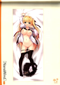 Page 63 of Dakimakura Cover Gashuu Bishoujo Game Hen