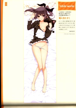 Page 74 of Dakimakura Cover Gashuu Bishoujo Game Hen