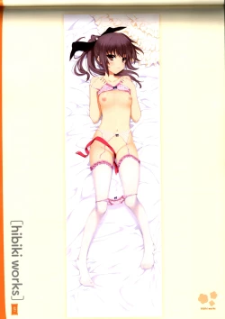 Page 75 of Dakimakura Cover Gashuu Bishoujo Game Hen