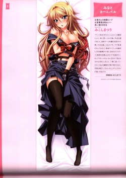 Page 88 of Dakimakura Cover Gashuu Bishoujo Game Hen
