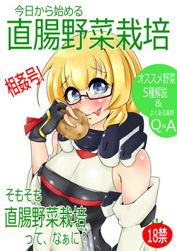 Download 直腸野菜栽培解説本