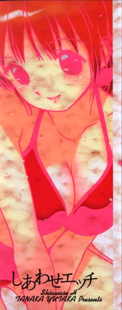 Page 3 of Shiawase H