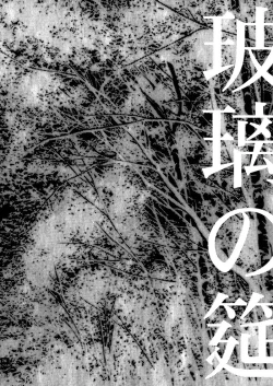 Page 76 of Hari no Mushiro