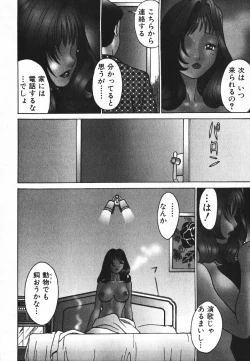 Page 11 of Dareka no Onna