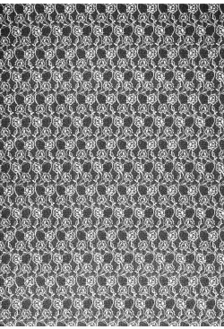 Page 21 of Primavera