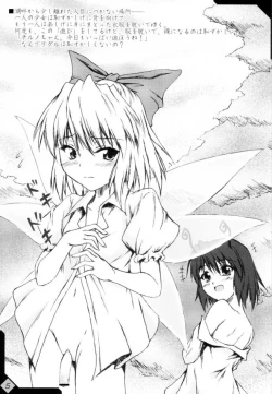 Page 4 of Touhou Eros 1/2