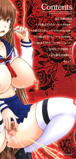 Page 4 of Do S na Hime wa Kegasareru| 超S的公主被玷汙了 ～因果之章～