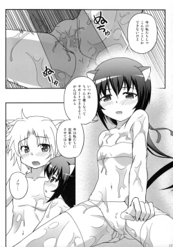 Page 13 of OIL COMBINATION HOLD