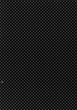 Page 131 of Sairoku 2