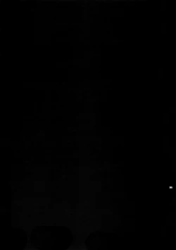 Page 208 of Sairoku 2