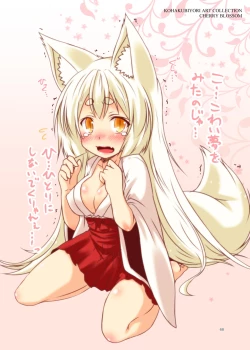 Page 69 of Kohaku Biyori ART COLLECTION Sakurairo