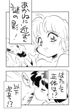 Page 4 of Ran3F