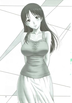 Page 2 of Hibino Switch