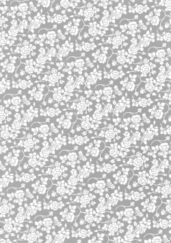 Page 3 of Uruwashi no Vinca Major