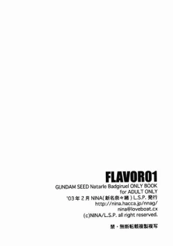 Page 17 of Flavor 01