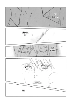 Page 19 of Digitalis no Hokotae 4