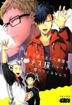 Download Shinjite Okuridashita Kuroo ga Mesuneko ni Natte Modottekuru nante