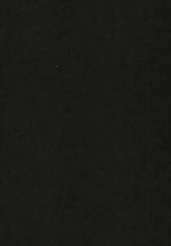 Page 4 of Thoroughbred Early Days