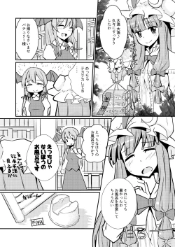 Page 5 of パチュリーさんがオナニーする本