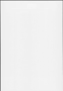 Page 4 of Andira La La Land