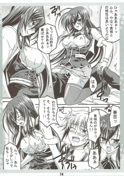 Page 13 of Seitokaichou no Oshigoto