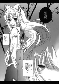 Page 40 of Touhou Chanpon Ippaime