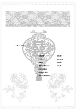 Page 4 of Toorimatic 2