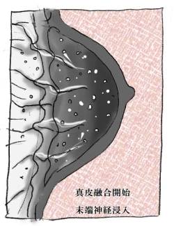 Page 25 of Hanako's Diary