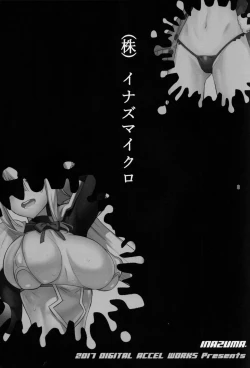 Page 2 of Inazumicro