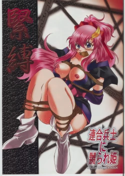 Page 3 of Rengou Heishi ni Naburare Hime