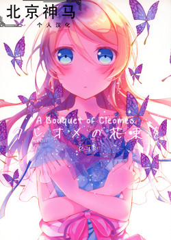 Download Cleome no Hanataba o | A Bouquet of Cleomes