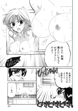 Page 27 of Shitamachi Madonna Shokudou 2
