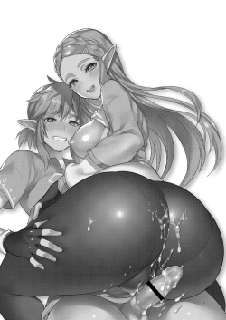 Page 2 of Hyrule Hanei no Tame no Katsudou!