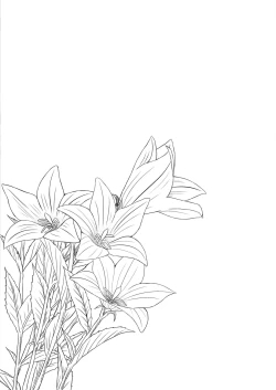 Page 21 of Hikari no Kimi no Saganaki Keikaku <Akashi>