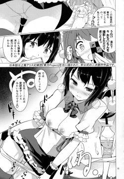 Page 14 of Shameimaru Aya no Appaku Shuzai Jou