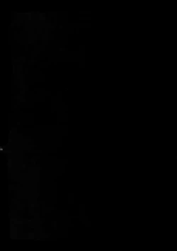 Page 4 of Gainen Reisou wa Kiniro no Yume o Miru 4