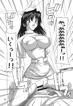 Page 27 of Chikan Ishi Soushuuhen