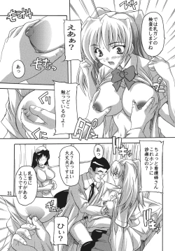 Page 31 of Chikan Ishi Soushuuhen