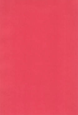 Page 38 of An-chan Uchi mo Shitai