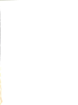 Page 2 of Umedamangashuu ver,S