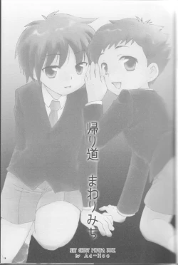 Page 2 of Kaerimichi Mawarimichi