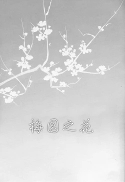 Page 3 of Plum Garden Flower | 梅园之花