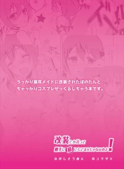 Page 18 of Kaisou toka Itte Katte ni Neko ni Siterun ja Nai wa yo!